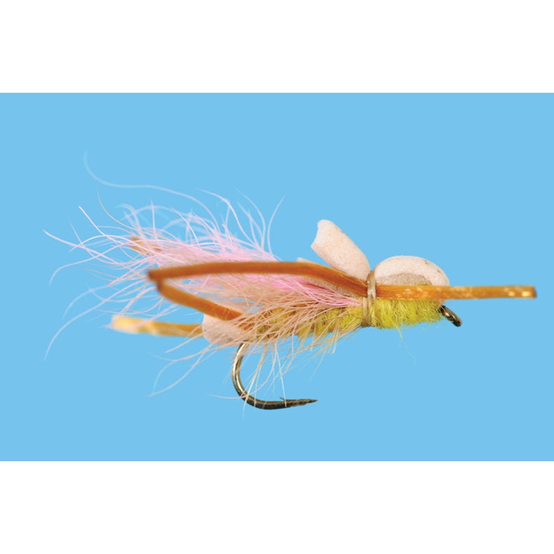 Larimer’s Yellow Sally|14