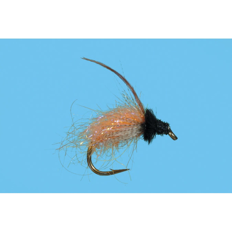 October Caddis|6