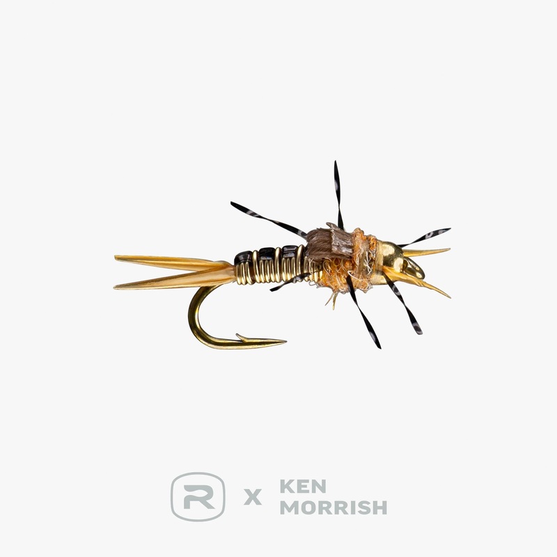Rio’s Morrish Iron Sally|14