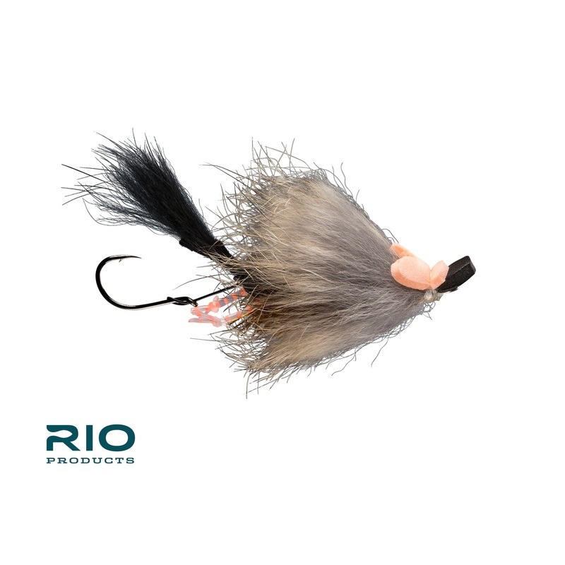 Rio’s Pip Squeak|4
