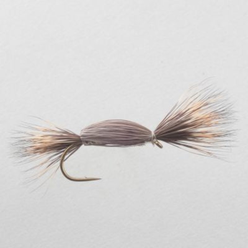 Tom Thumb|12