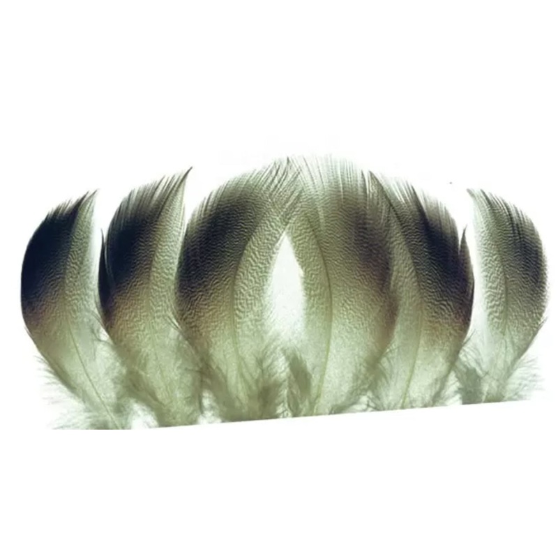 Bronze Mallard Spey Select