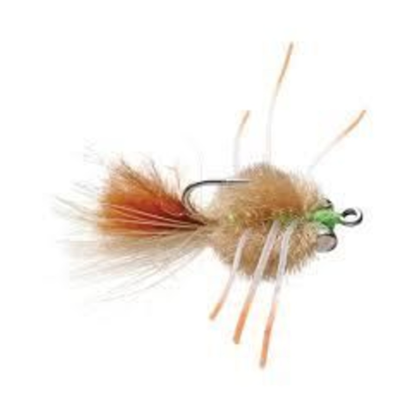 Cathy’s Fleeing Crab|Cathys Fleeing Crab||6||4||2