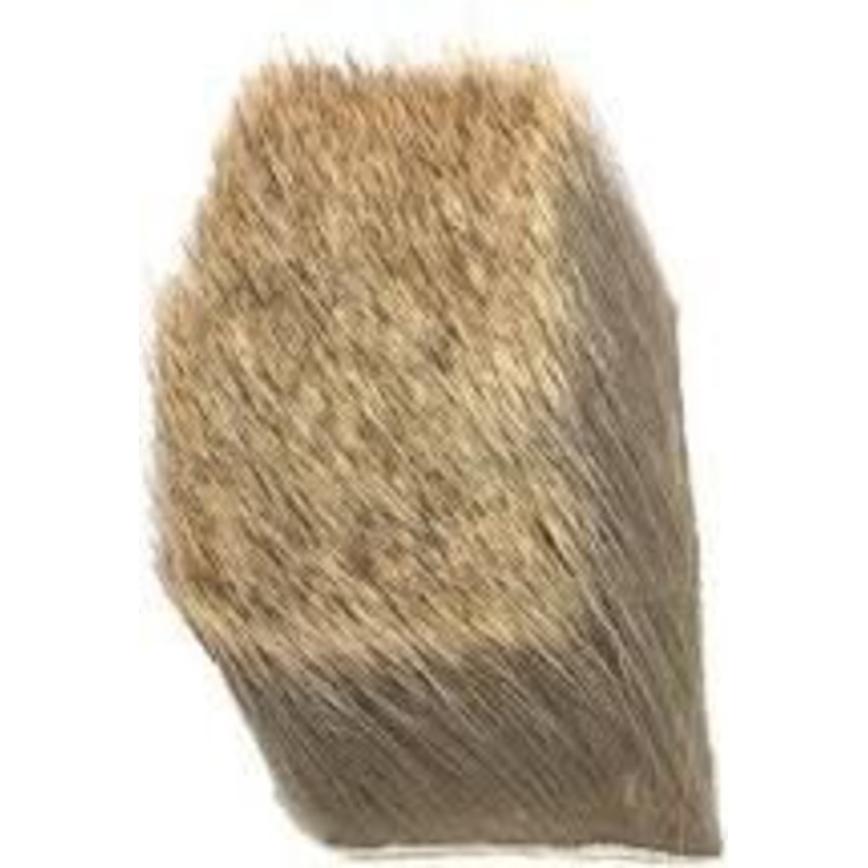 Yearling Elk Hair