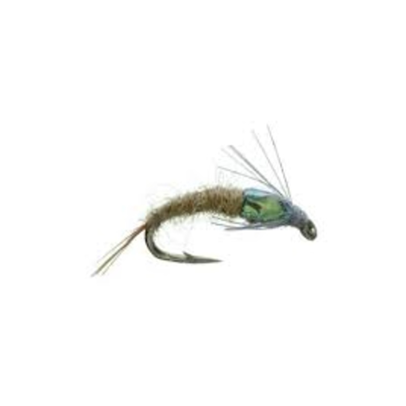 Barr’s Emerger BWO||16||18||20