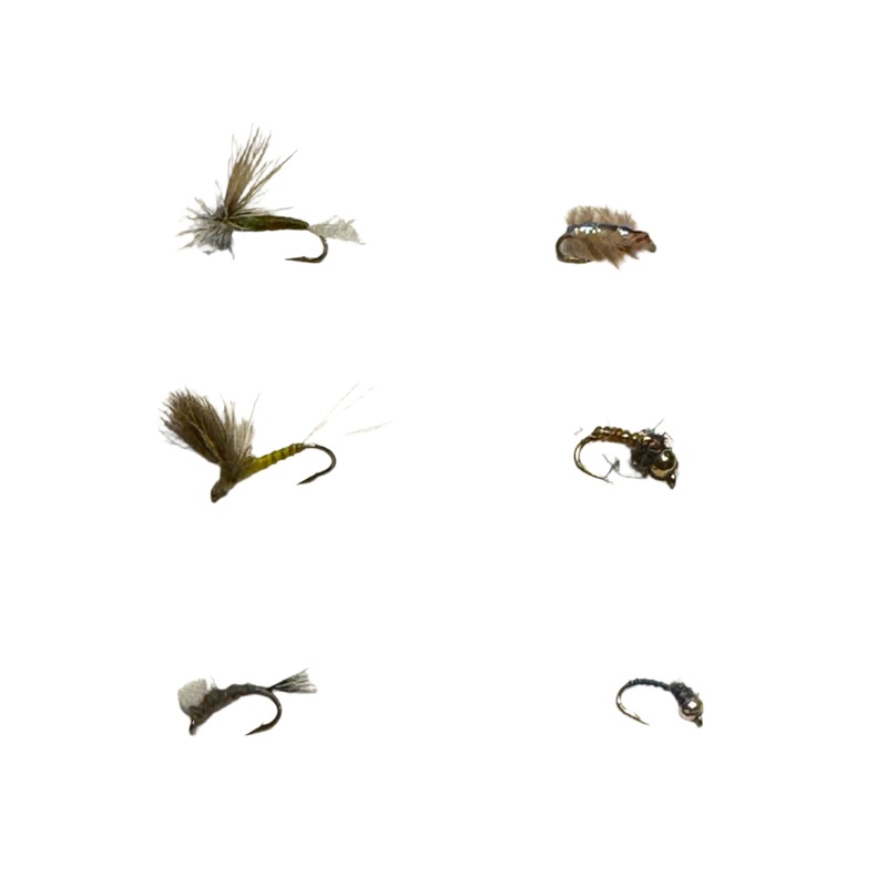 Big Thompson River Fly Assortment