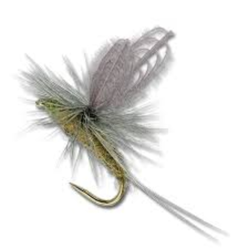 CDC Baetis Dun||18||20