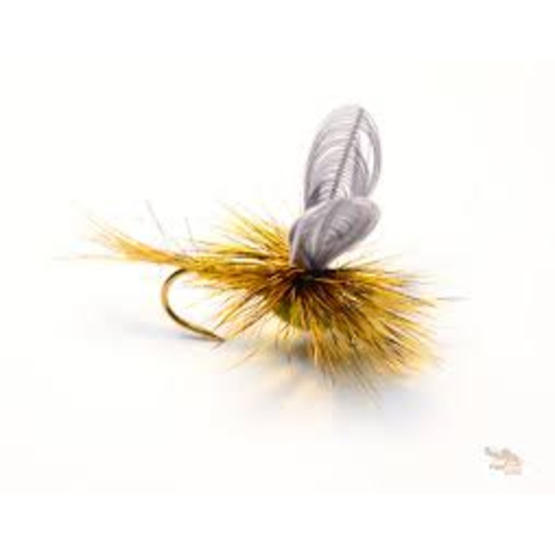 cdc Flav Drake||10||12||14