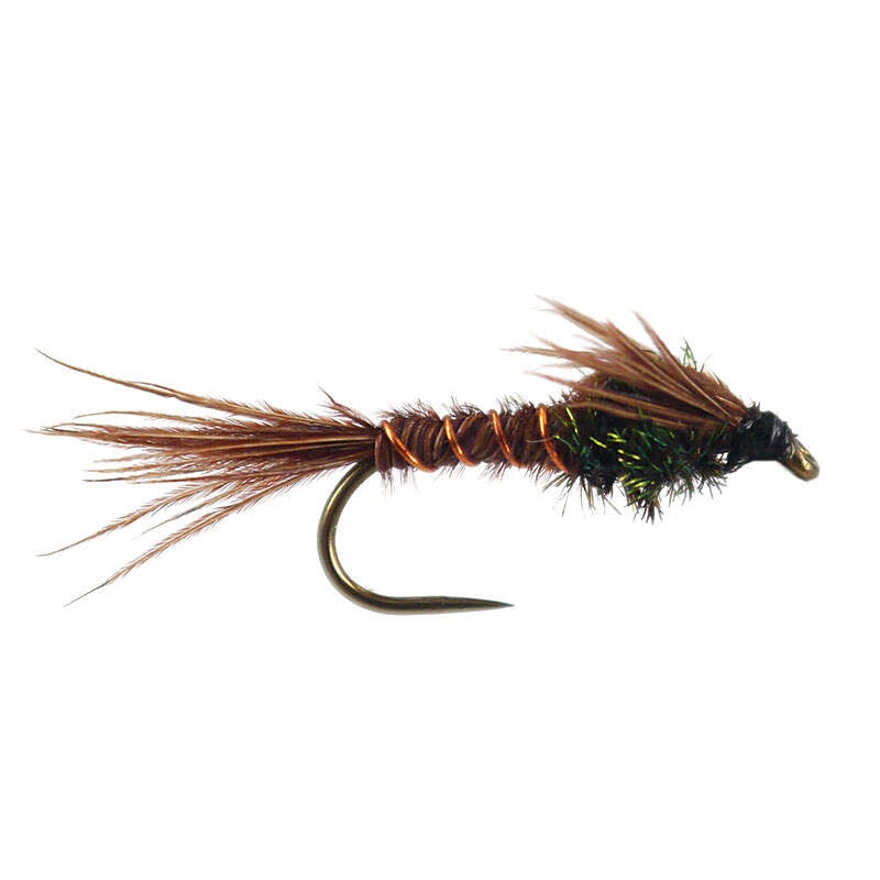 Flashback Pheasant Tail||12||14||16||18||20||22