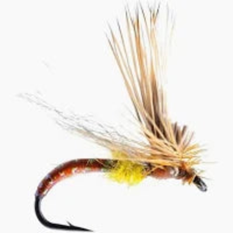 Missing Link  PMD||14