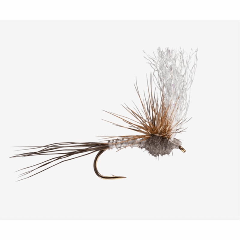 Q’s Split Flag Adams||12||14||16||18||20