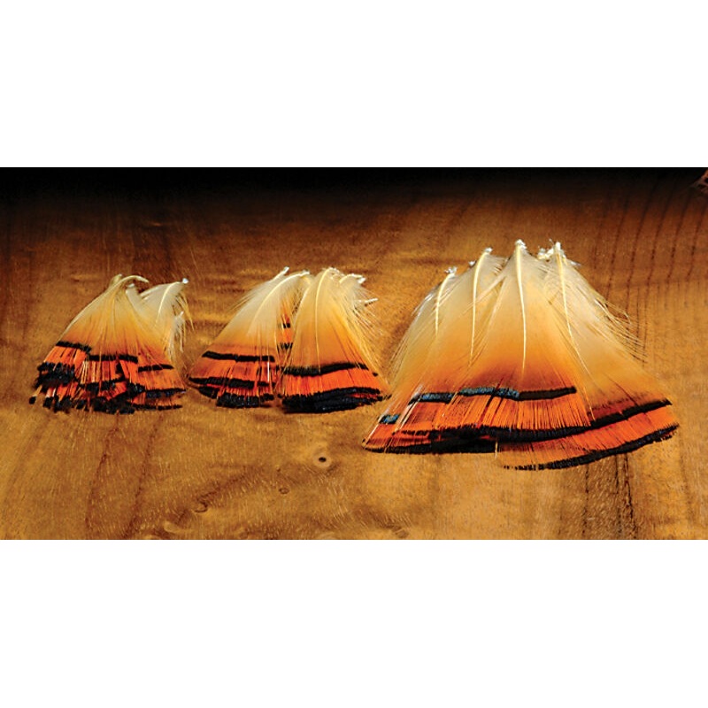 Golden Pheasant Tippets|Small|Medium|Large