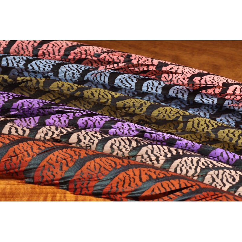 Lady Amherst Tail|Kingfisher Blue|Natural|Red|Sunburst Yellow|Chartreuse