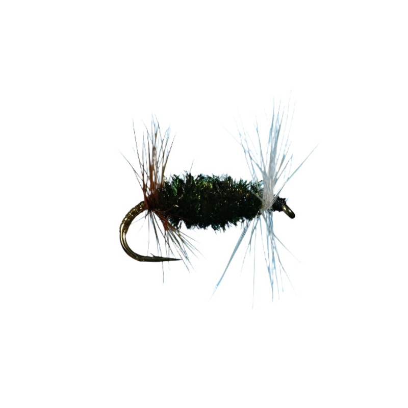 Renegade Dry Fly|Peacock||14||12||18||16