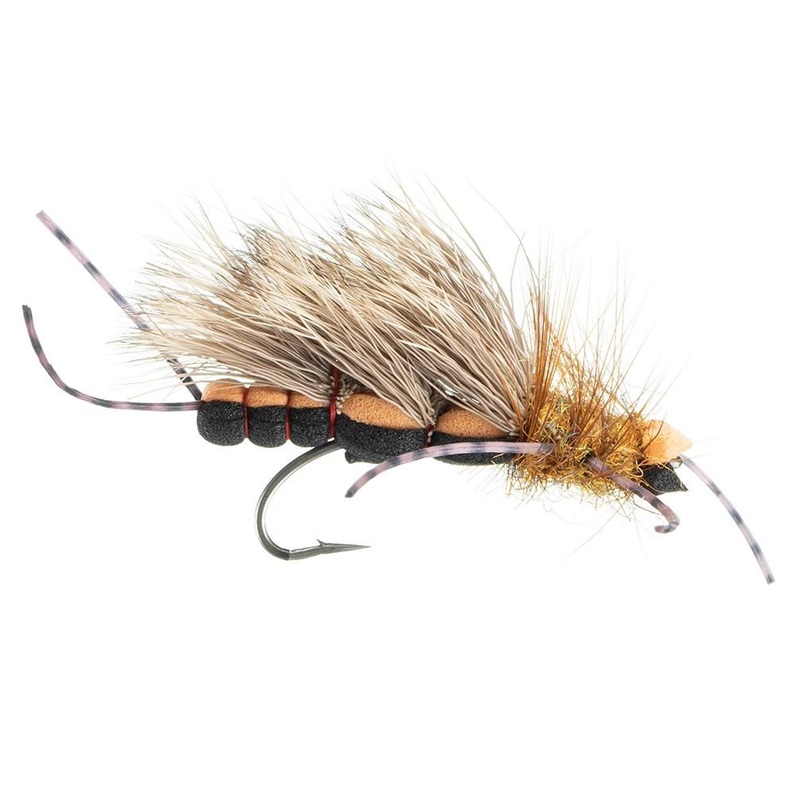 Turner’s Bank Robber Salmonfly