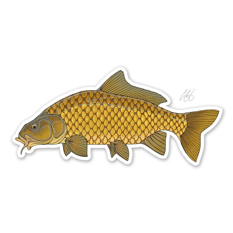 Casey Underwood Artwork & Design Common Carp Decal 5