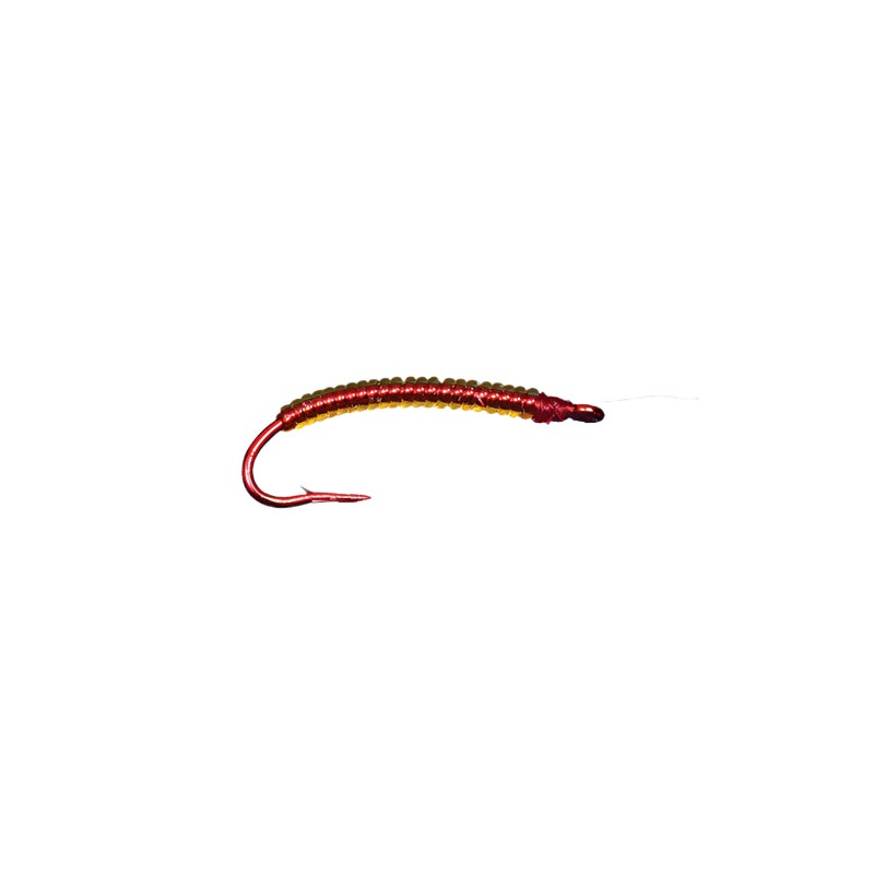 Annelid worm||16||18