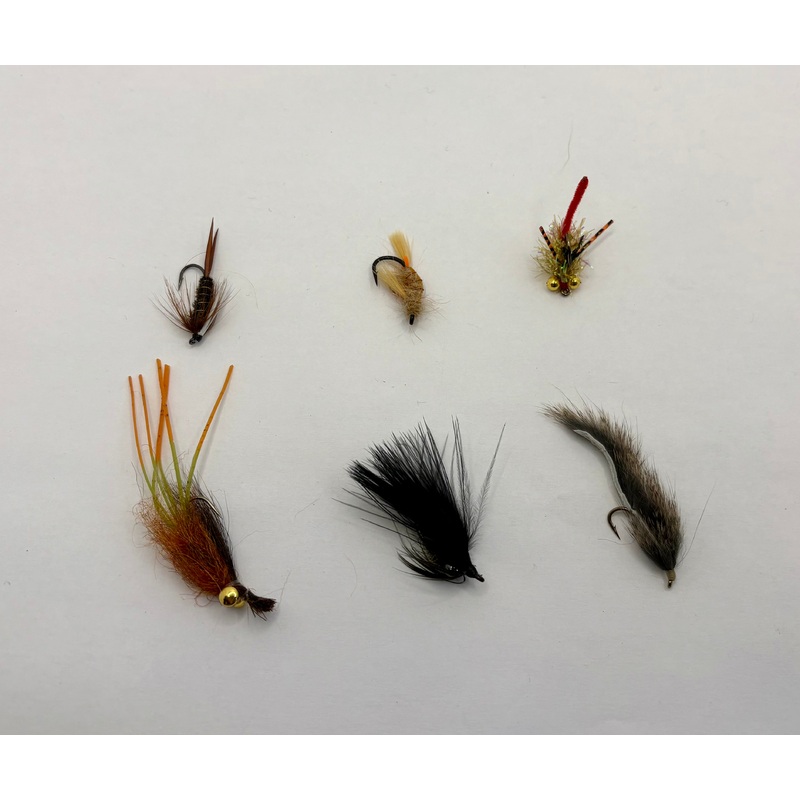 Carp Fly Assortment