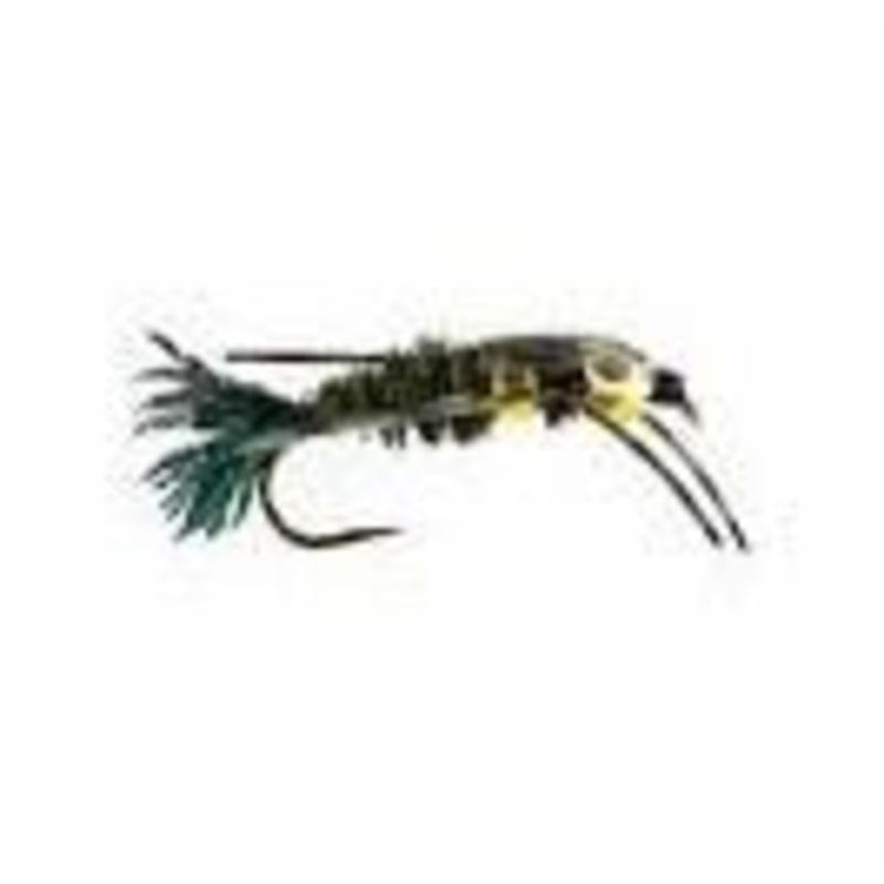 Speckled DB Stone Nymph|Peacock||6||8||10||12