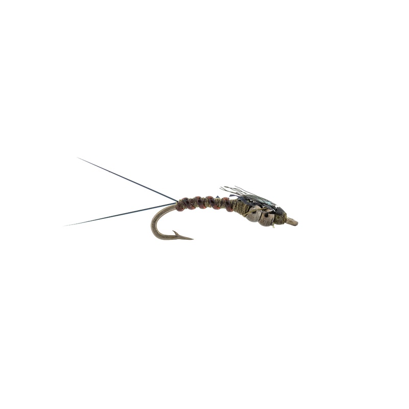 Tungsten Splitback Shady||18||20