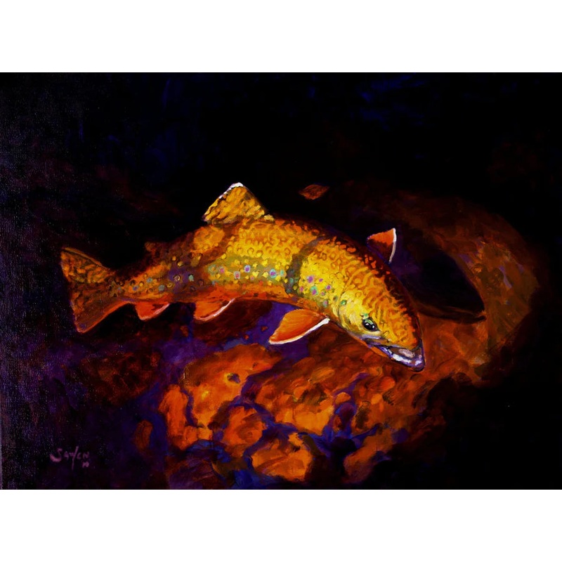 Luminous Brook Trout by Mike Savlen