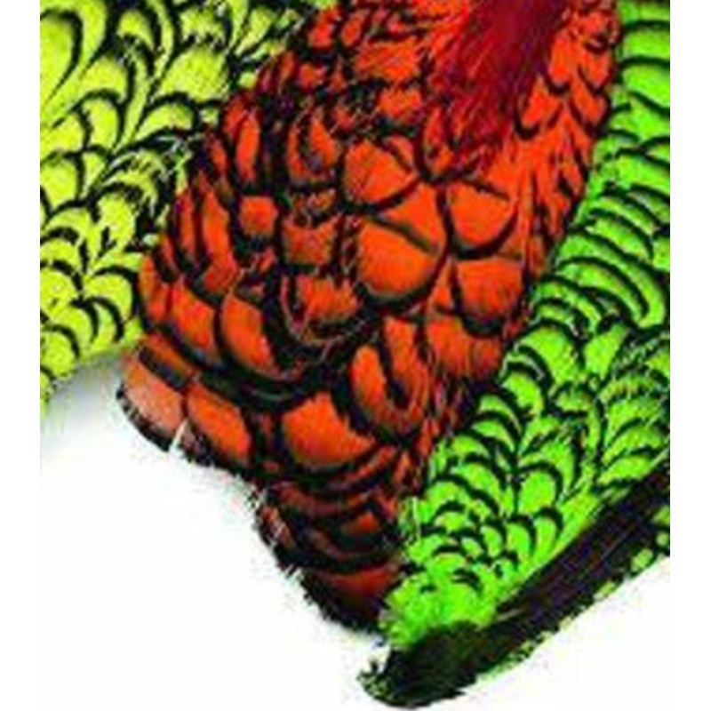 Wapsi Lady Amherst Neck|Red|Natural|HghldGr|KngFshBlu|Orange|Purple