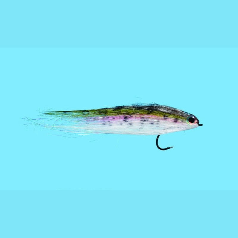 Baby Rainbow Trout||4