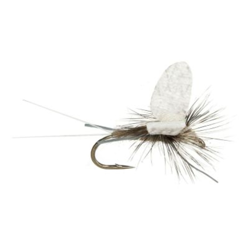 Etha Wing Dun Callibaetis||12||14|Callibaetis