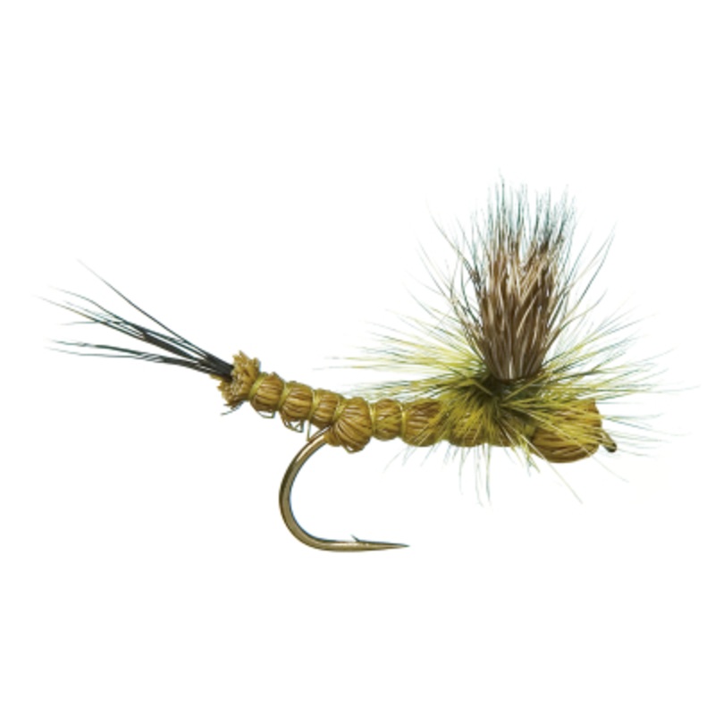 Ext Body Green Drake||10|Drake