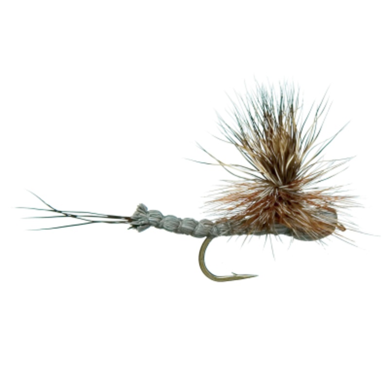 Ext Body Grey Drake||12|Drake