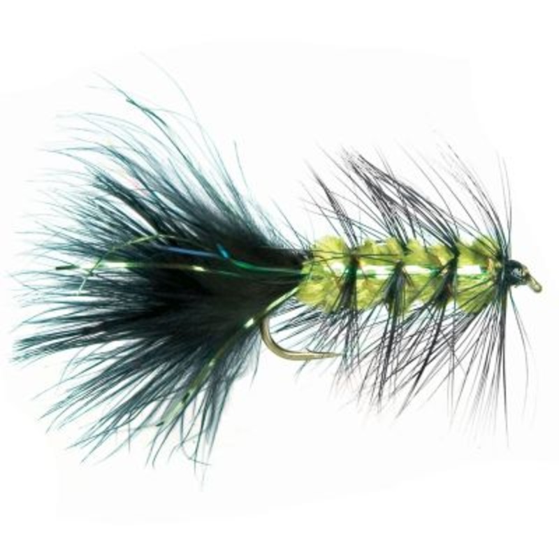 Flash A Bugger||10||6||8|Black / Olive