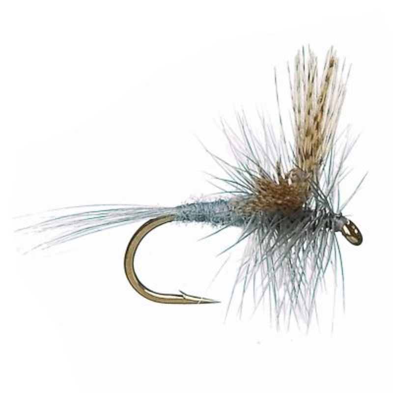 Hendrickson Dark||12||14|Dark