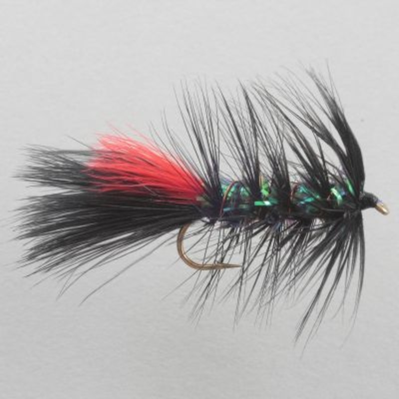 Little Fort Leech||10||8