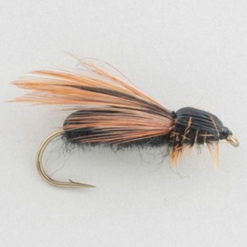 Mike’S Carpenter Ant||8