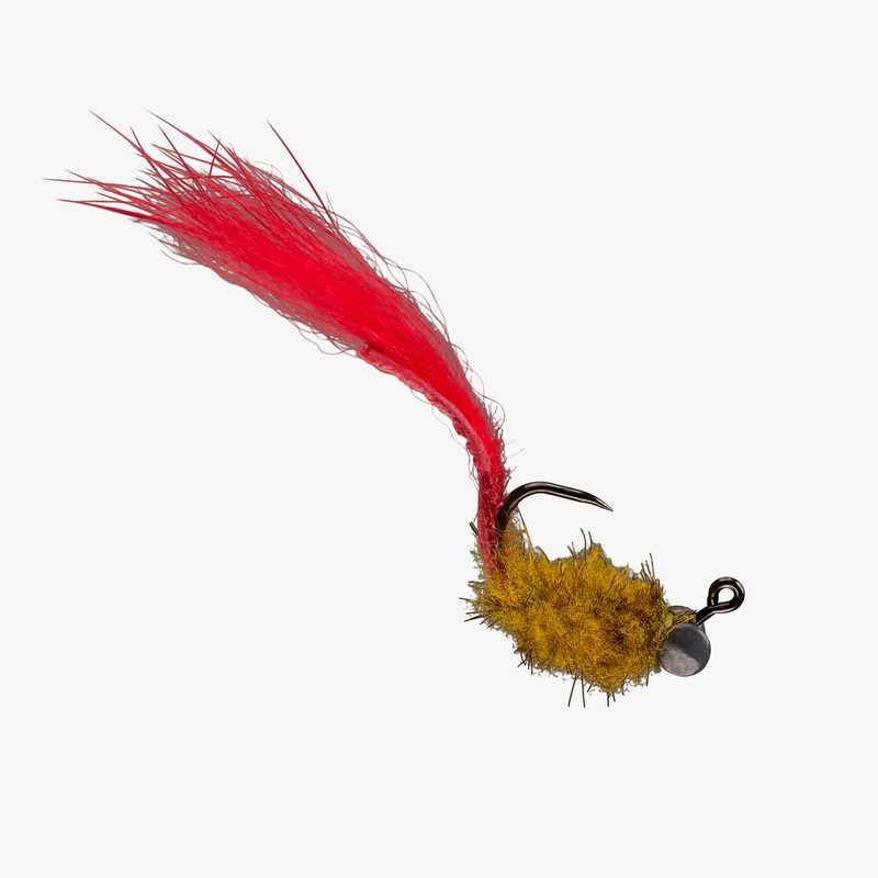 Resting Carp Face||6|Olive