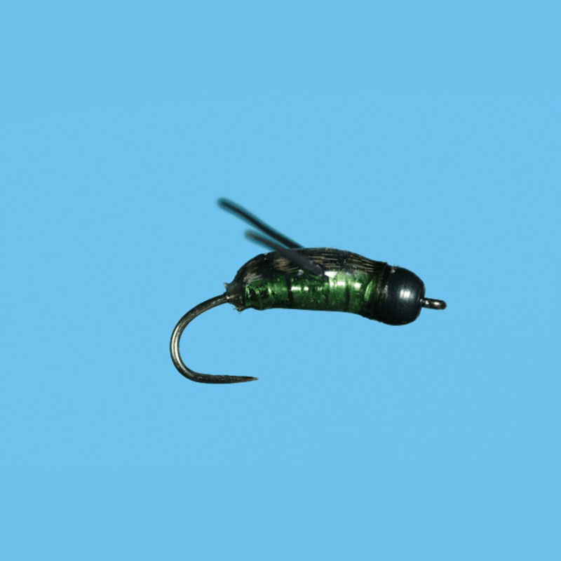 Water Boatman||14