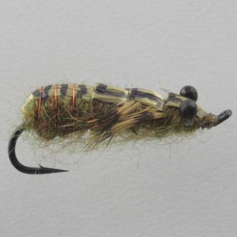 WT’s Dragon Nymph||8|Olive