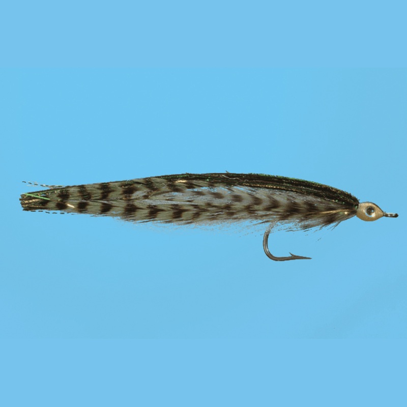 Anchovy||2/0