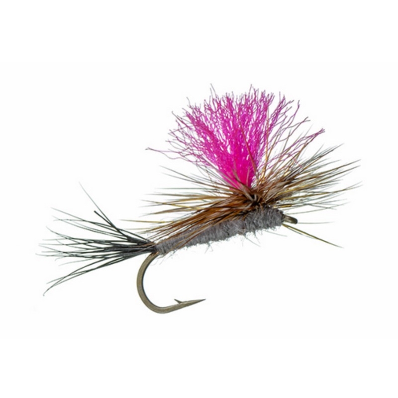 Hi-Vis Fl. Pink Chute-Adams|20|12|16|14|18