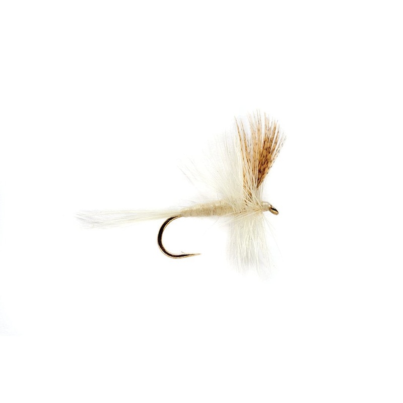 Light Cahill Dry Fly|12|18|14|16
