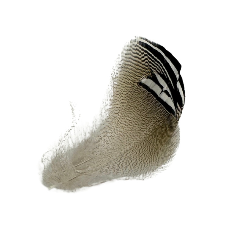 Wapsi – Wood Duck B&W Flank