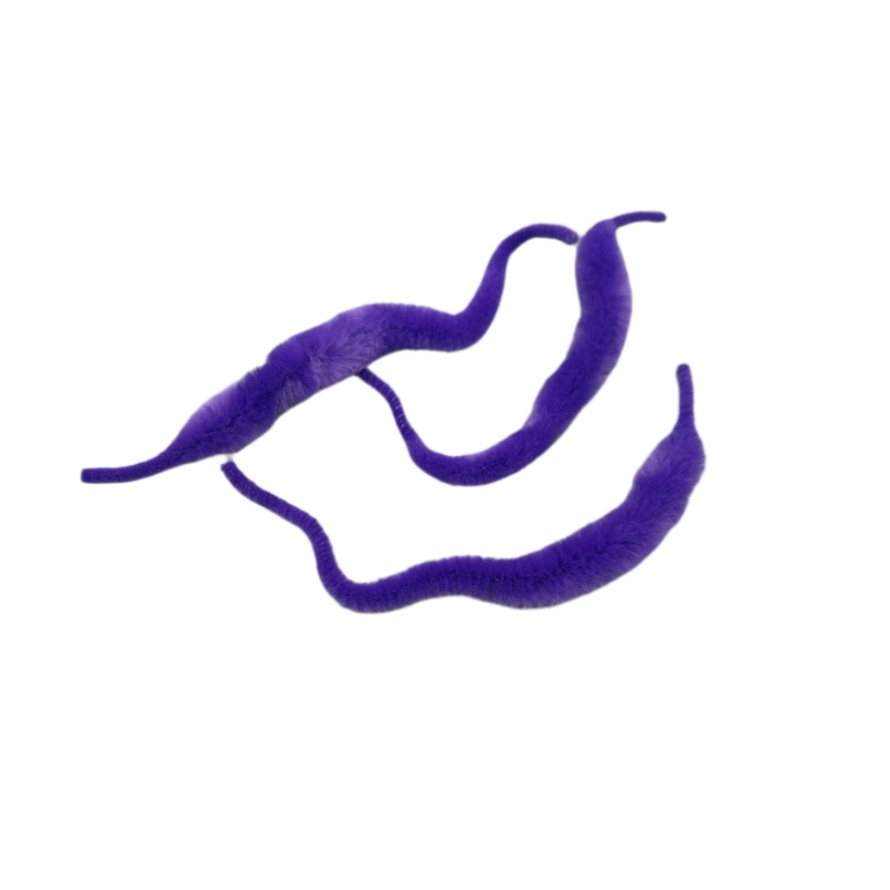 Whalesback – Mini Dragon Tails