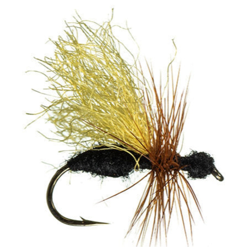 Black Flying Ant||12||16