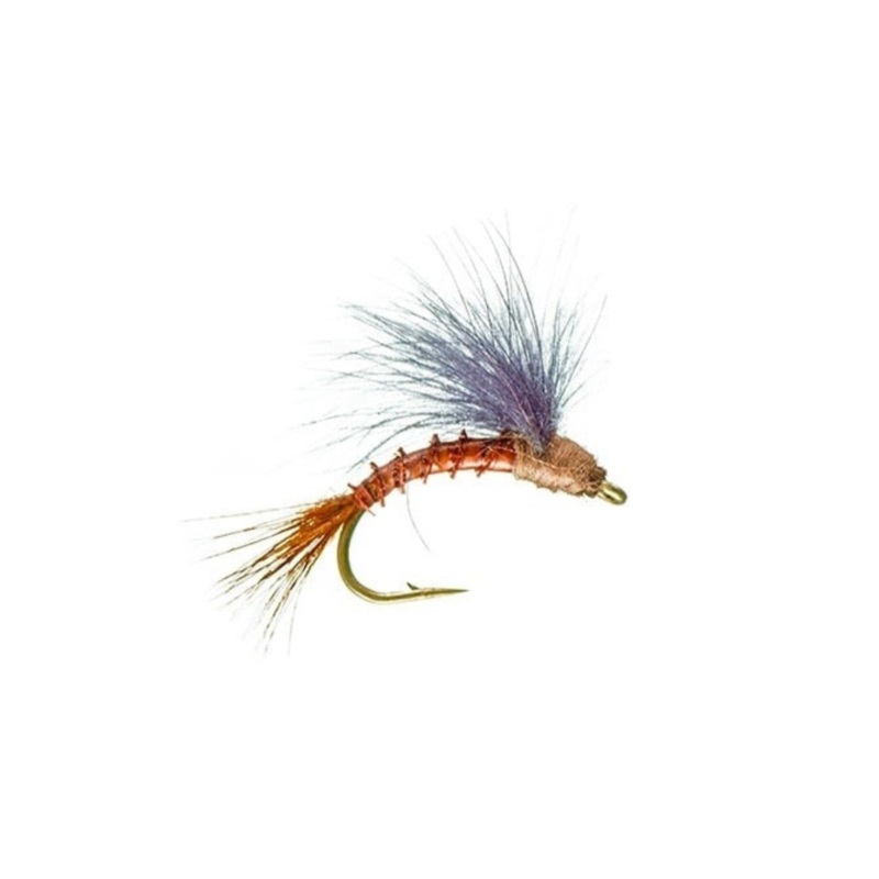 CDC Emerger Mahogany|14|16