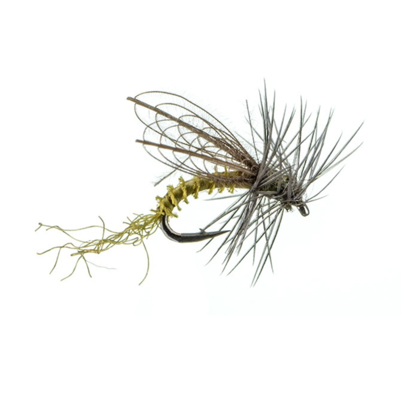 CDC Winged Emerger BWO|18|20