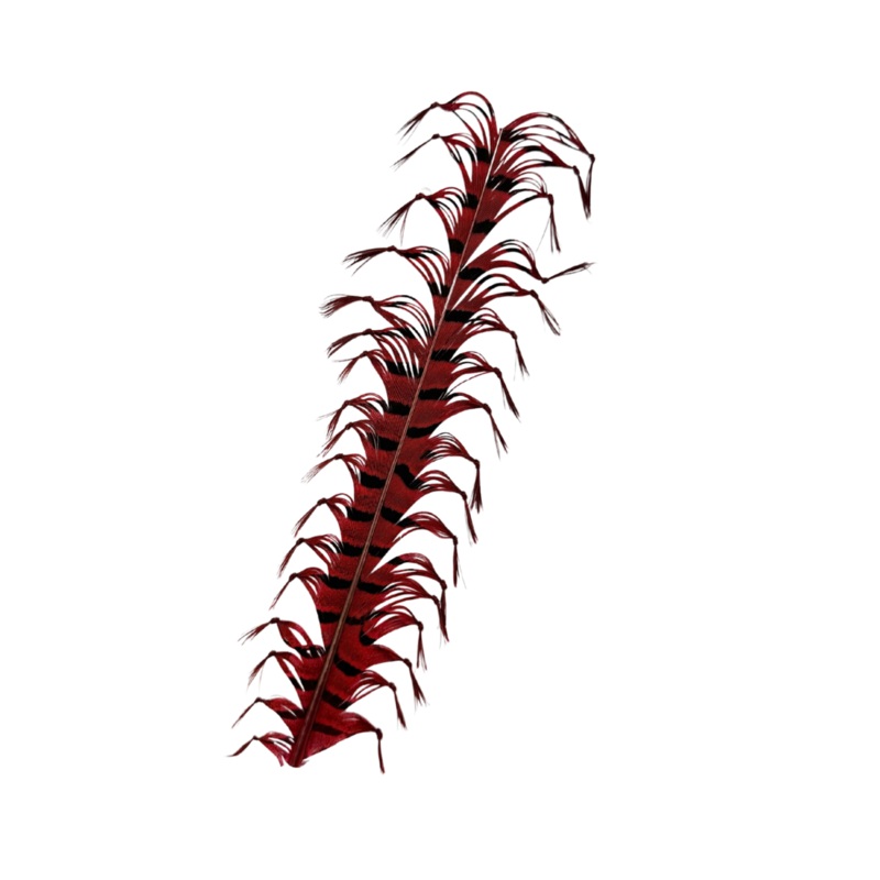 MFC – Legs On A Stick (Knotted Pheasant Tail)