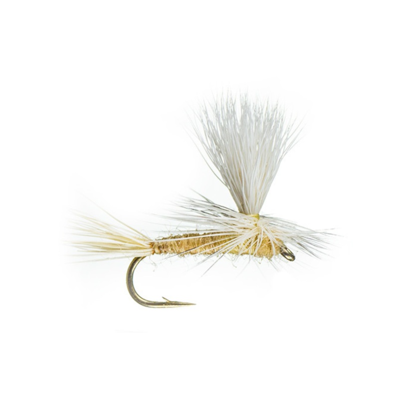 Parachute Light Cahill|14|16