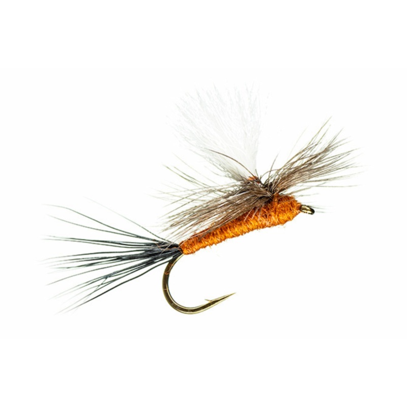 Rusty Parachute|16|12|14|18