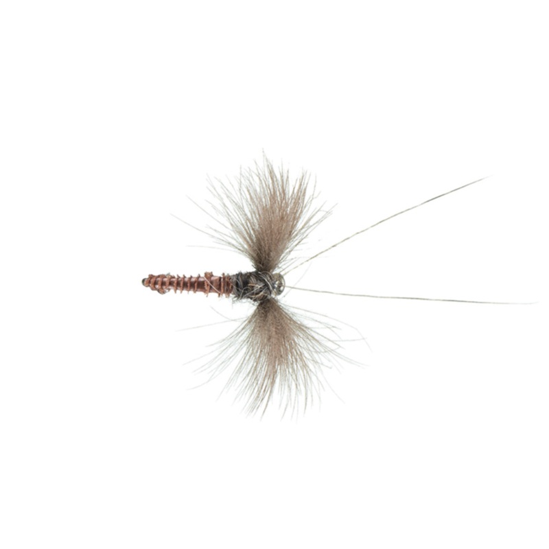 Shaner’s Dead-Bug Caddis|16