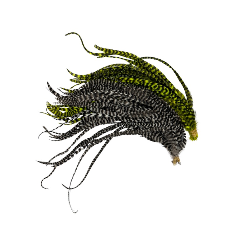 Whiting – 10-14 Schlappen|Orange|Black|Tan|Grizzly Orange|Yellow|Grizzly Olive|Green Chartreuse|Grizzly Fl. Yellow Chartreuse|Grizzly|White